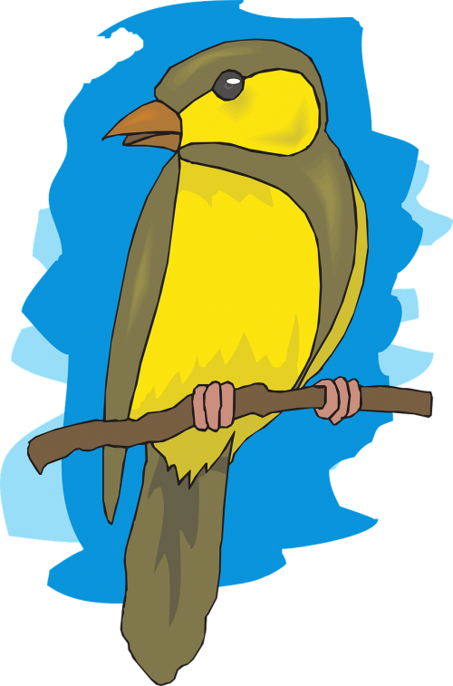 Background,still Life, - European Goldfinch Clipart (500x757), Png Download