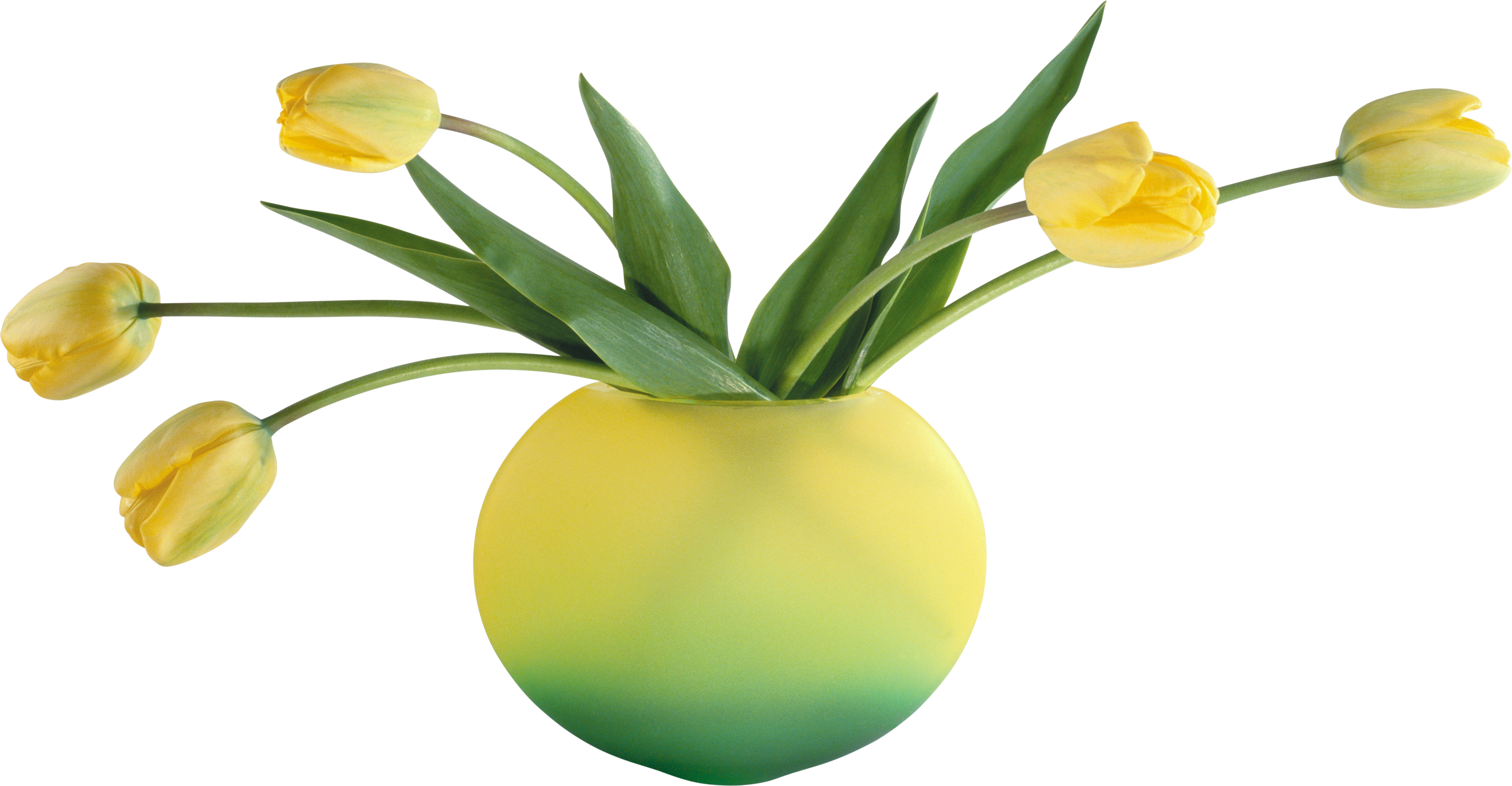 Vase Png - Вазочка Png Clipart (5460x2840), Png Download
