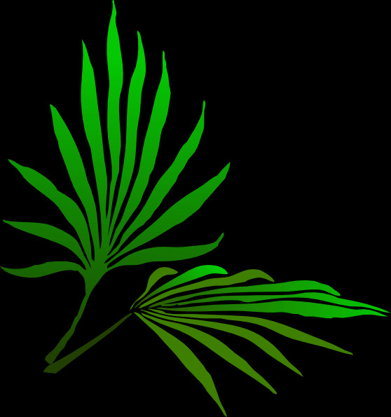 Jewish Holiday Pngs - Illustration Clipart (558x595), Png Download