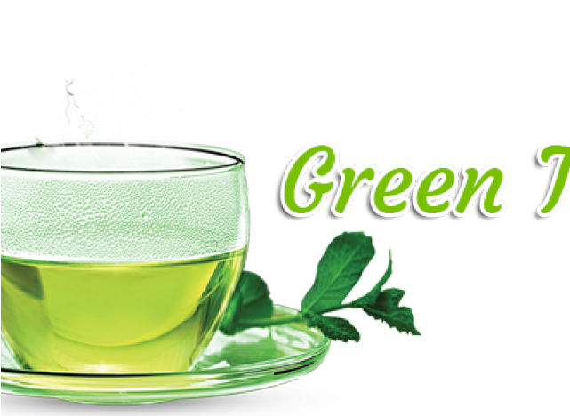 Original - Green Tea Cup Png Clipart (640x480), Png Download