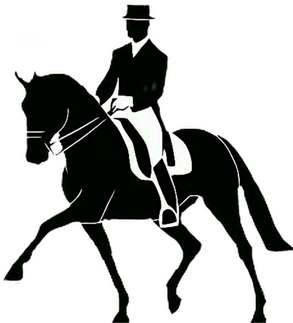 Dressage Vector Dressagevector Black Blackvector Blackd - Dressurreiten Clipart - Png Download (1024x1131), Png Download