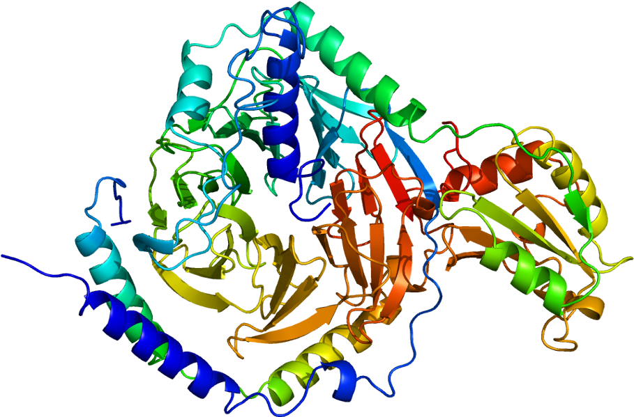 Protein Pdc Pdb 2trc - Graphic Design Clipart (958x648), Png Download