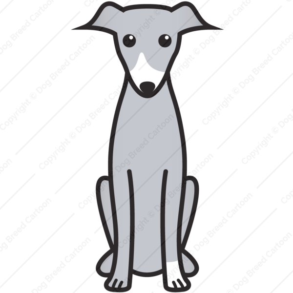 Italian Greyhound Vs Whippet - Cartoon Italian Greyhound Clipart (600x600), Png Download