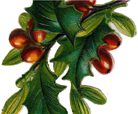 Holley Clipart Victorian - Christmas Vintage Clip Art - Png Download (640x480), Png Download