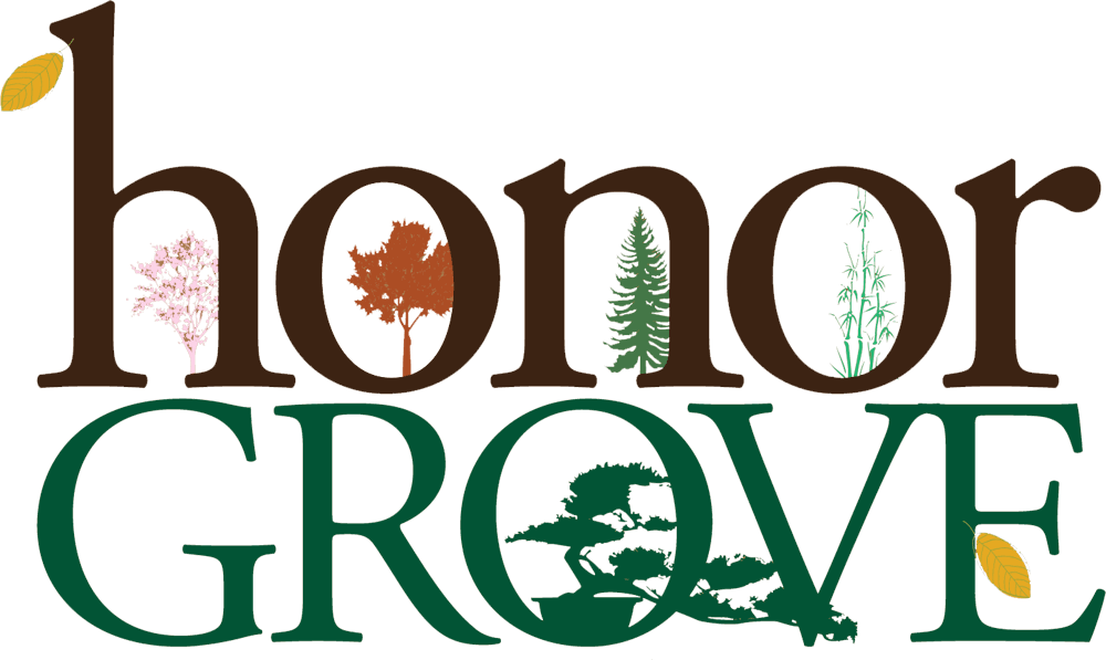 Positive Change For People & Places - Ifaw Clipart (1000x597), Png Download