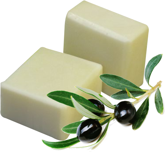 Soap Png - Extend The Olive Branch Clipart (594x526), Png Download