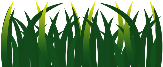 Grass Clipart (816x1056), Png Download