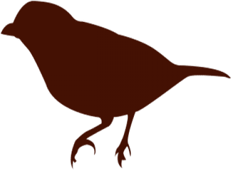 Brown Bear Clipart Finch Bird - Finch - Png Download (640x480), Png Download