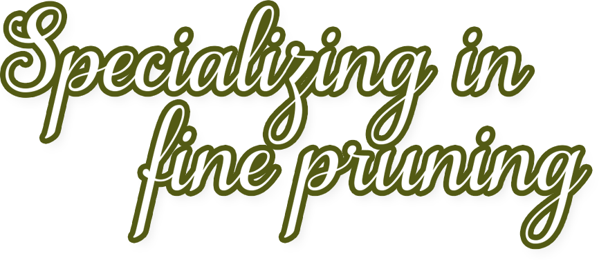 Specializing In Fine Pruning - Calligraphy Clipart (866x377), Png Download