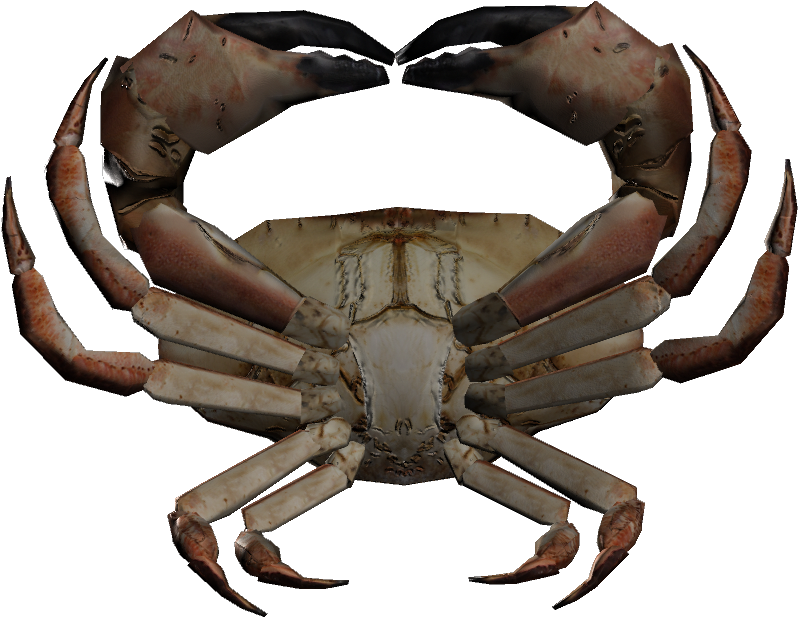 Dungeness Crab Clipart (1280x720), Png Download