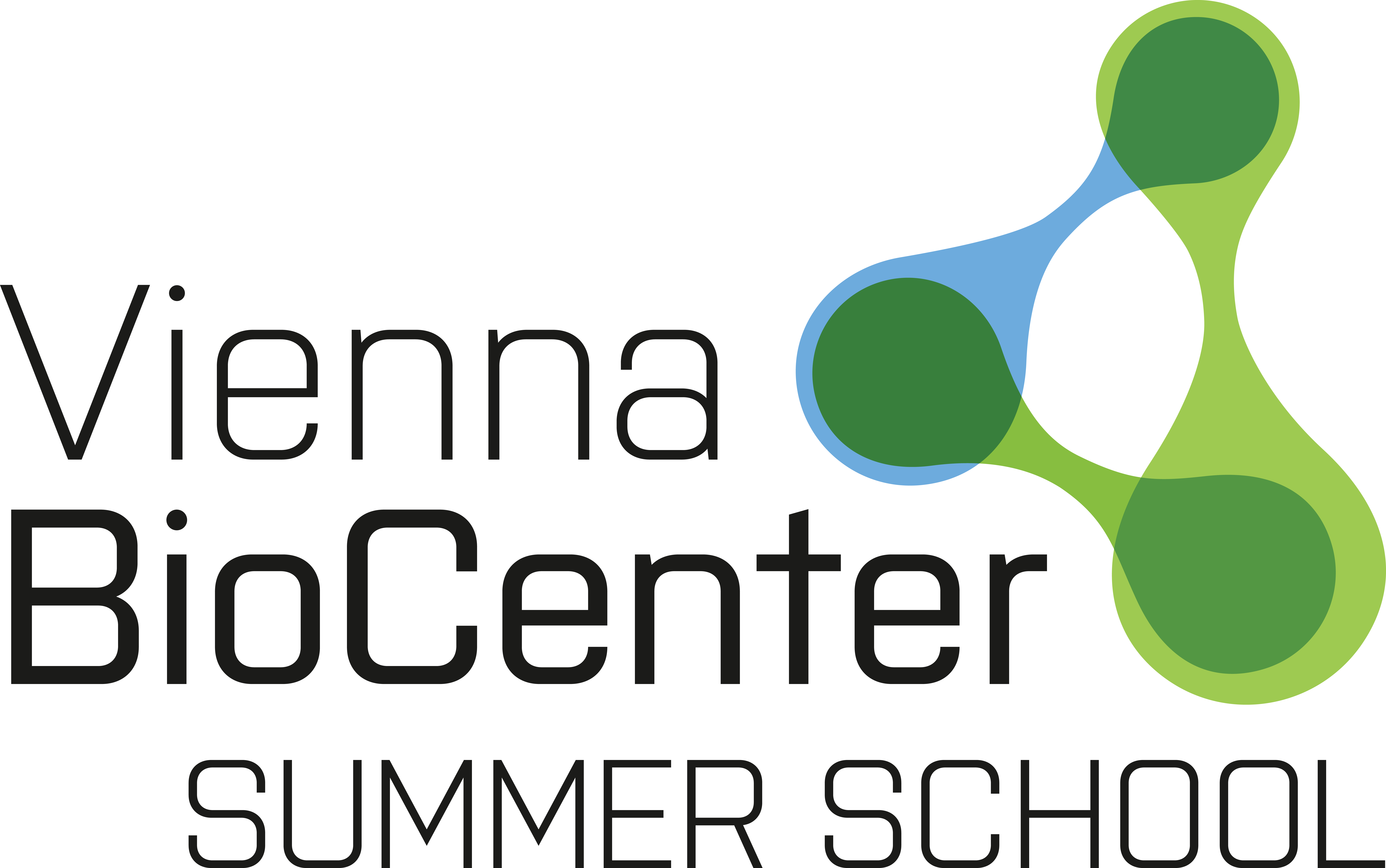 Logo Vienna Biocenter Summer School Vbc Summer School - Graphic Design Clipart (8417x5273), Png Download