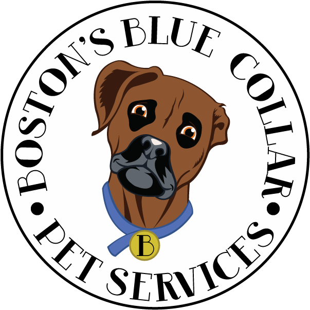 Sock The Monkey, Branding For Handcrafted Sock Monkey - Boxer Clipart (673x757), Png Download