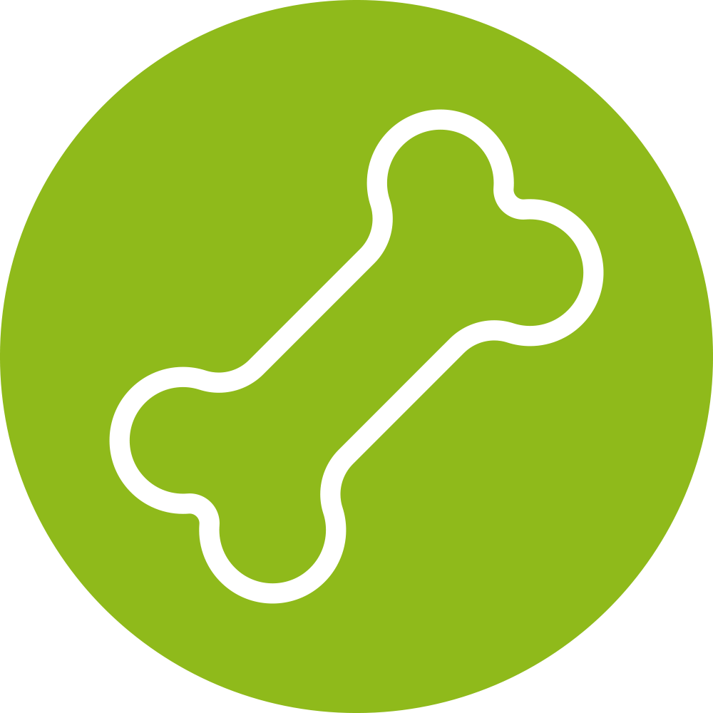 Bone Clipart (1000x1000), Png Download