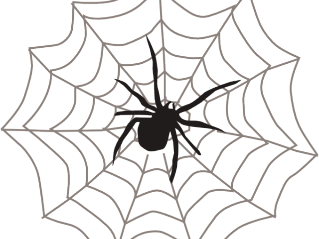 Spider Web Clipart - Spider In Web Clipart - Png Download (640x480), Png Download