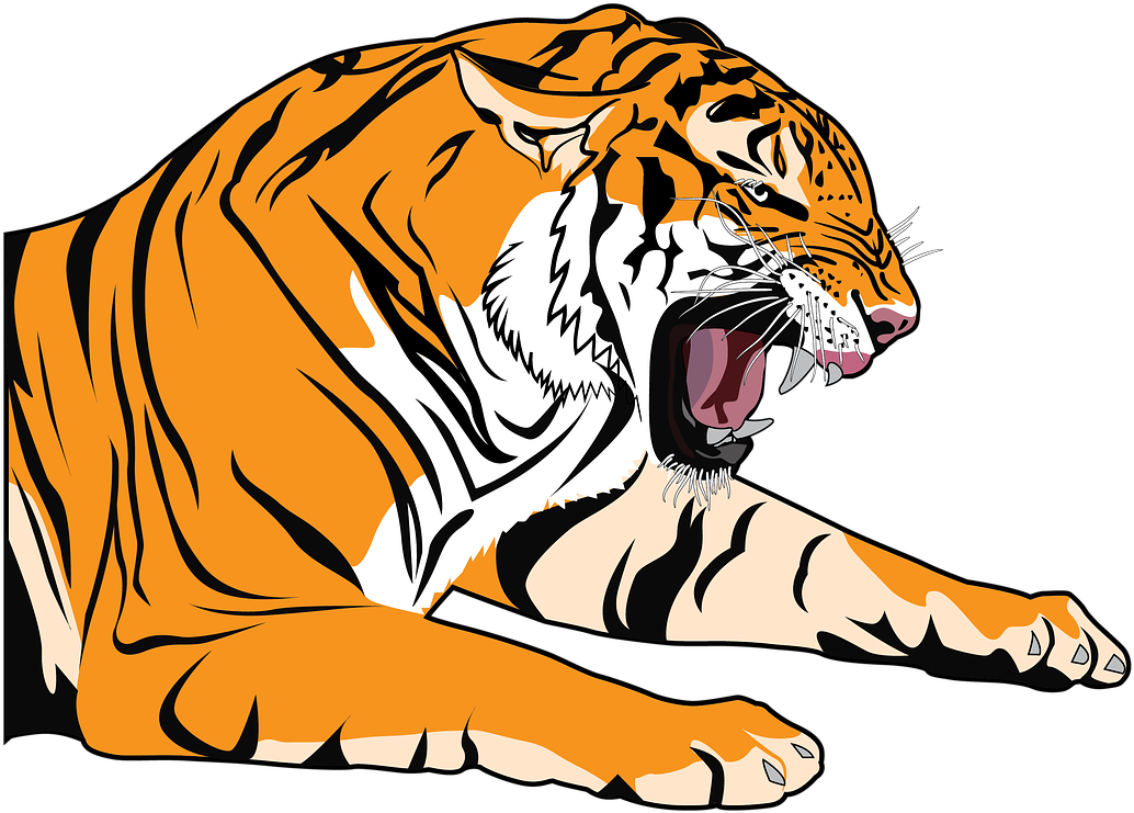 Tiger Clipart Transparent - Dibujos Para Dibujar De El Tigre - Png Download (1280x904), Png Download