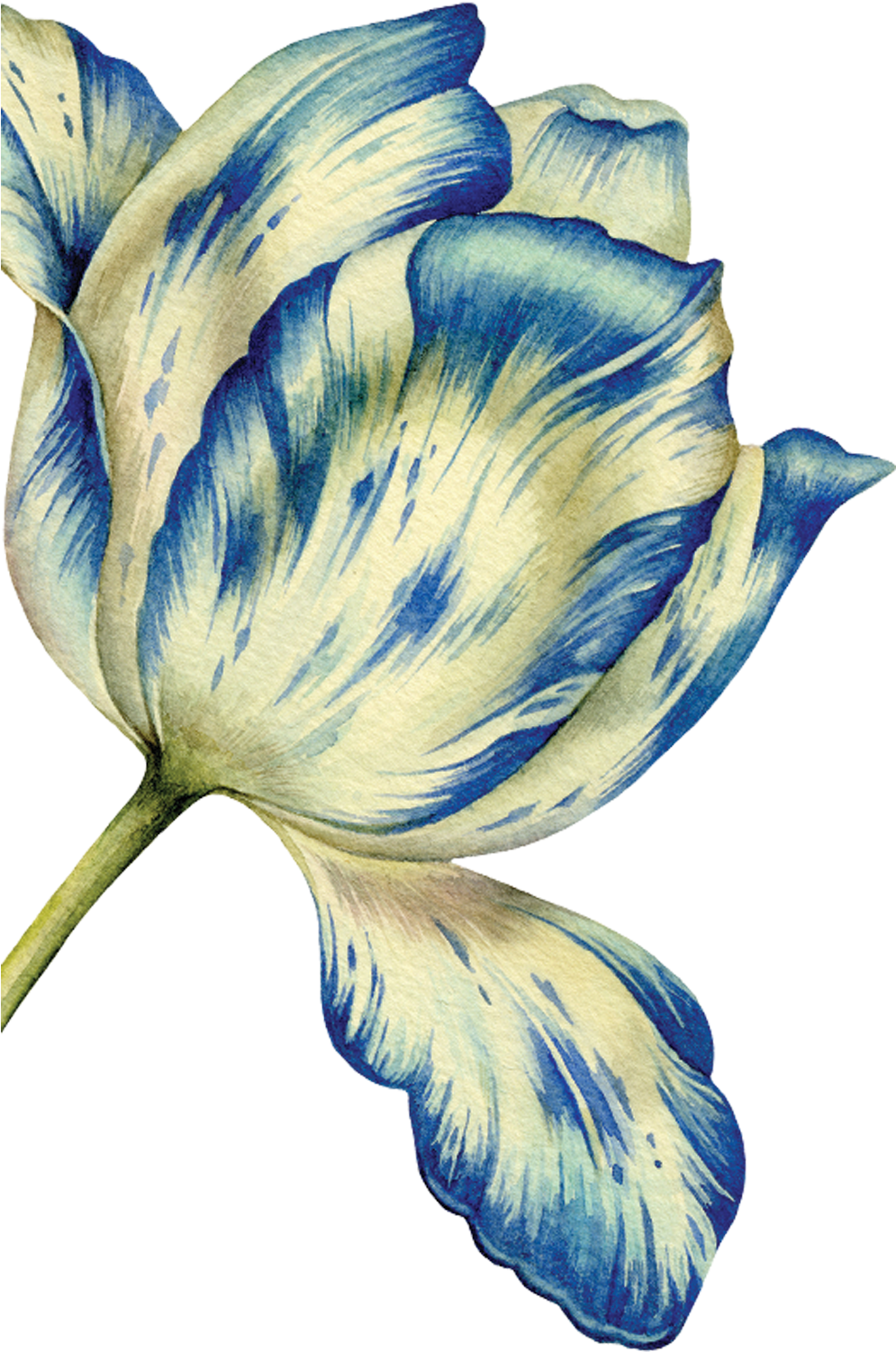 Garden - Illustration Clipart (1800x1800), Png Download