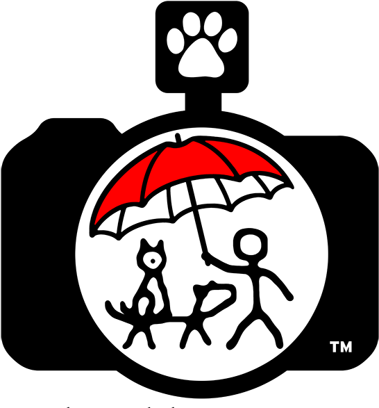 Shelter-me Photography Clipart (568x600), Png Download