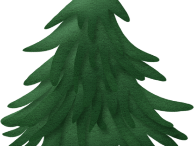 Pine Tree Clipart Transparent Background - Sapin Clipart - Png Download (640x480), Png Download