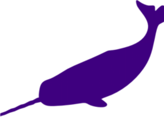 Purple Clipart Whale - Narwhal Stencil - Png Download (640x480), Png Download