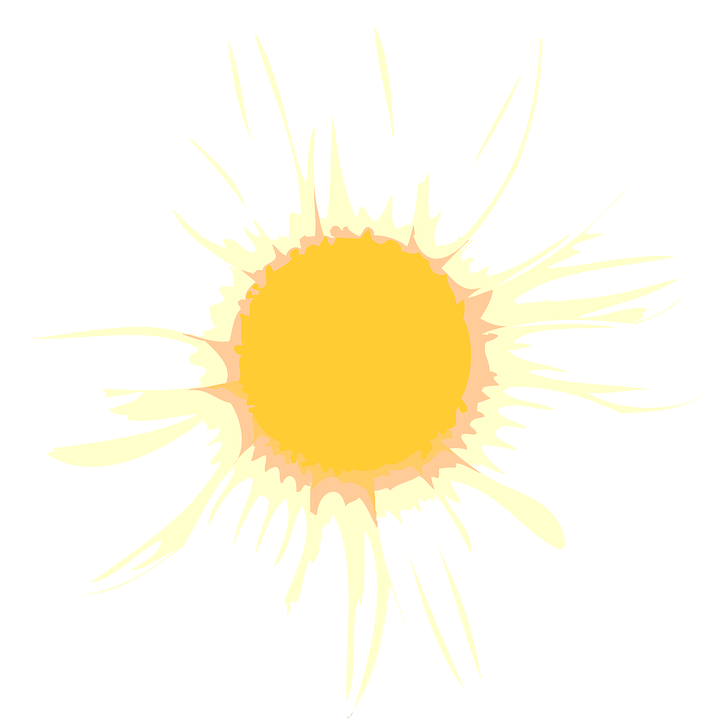 Camomile Flower Free Png Transparent Images Free Download - Simple White Rangoli Clipart (723x720), Png Download
