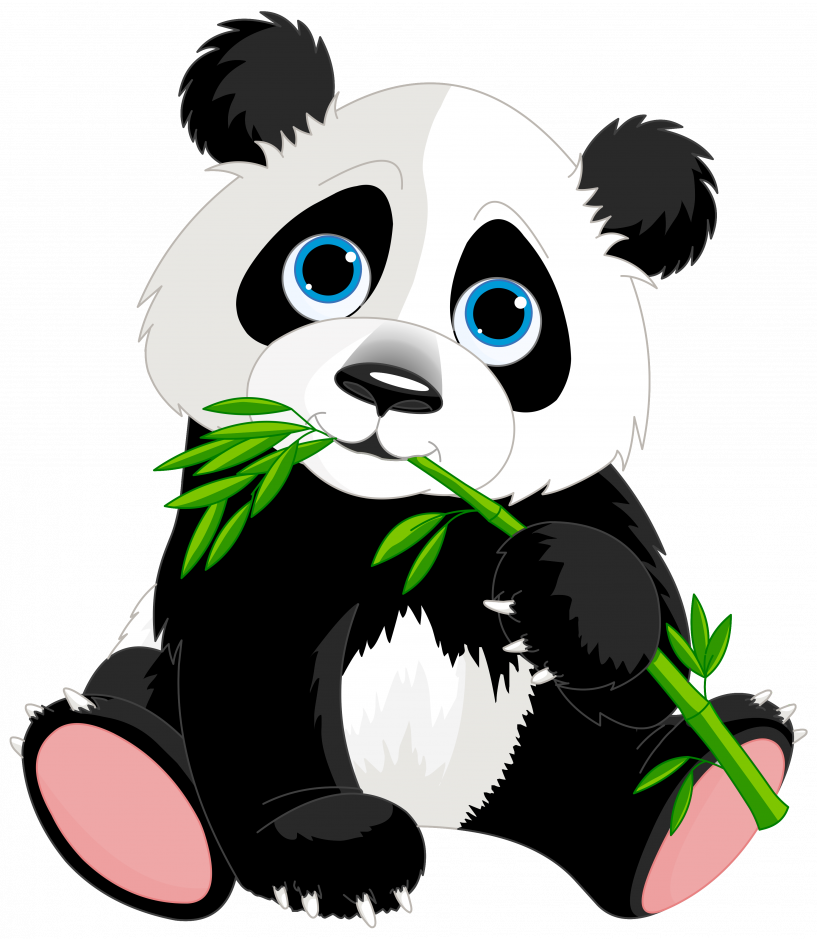 Panda Clipart - Png Download (817x939), Png Download