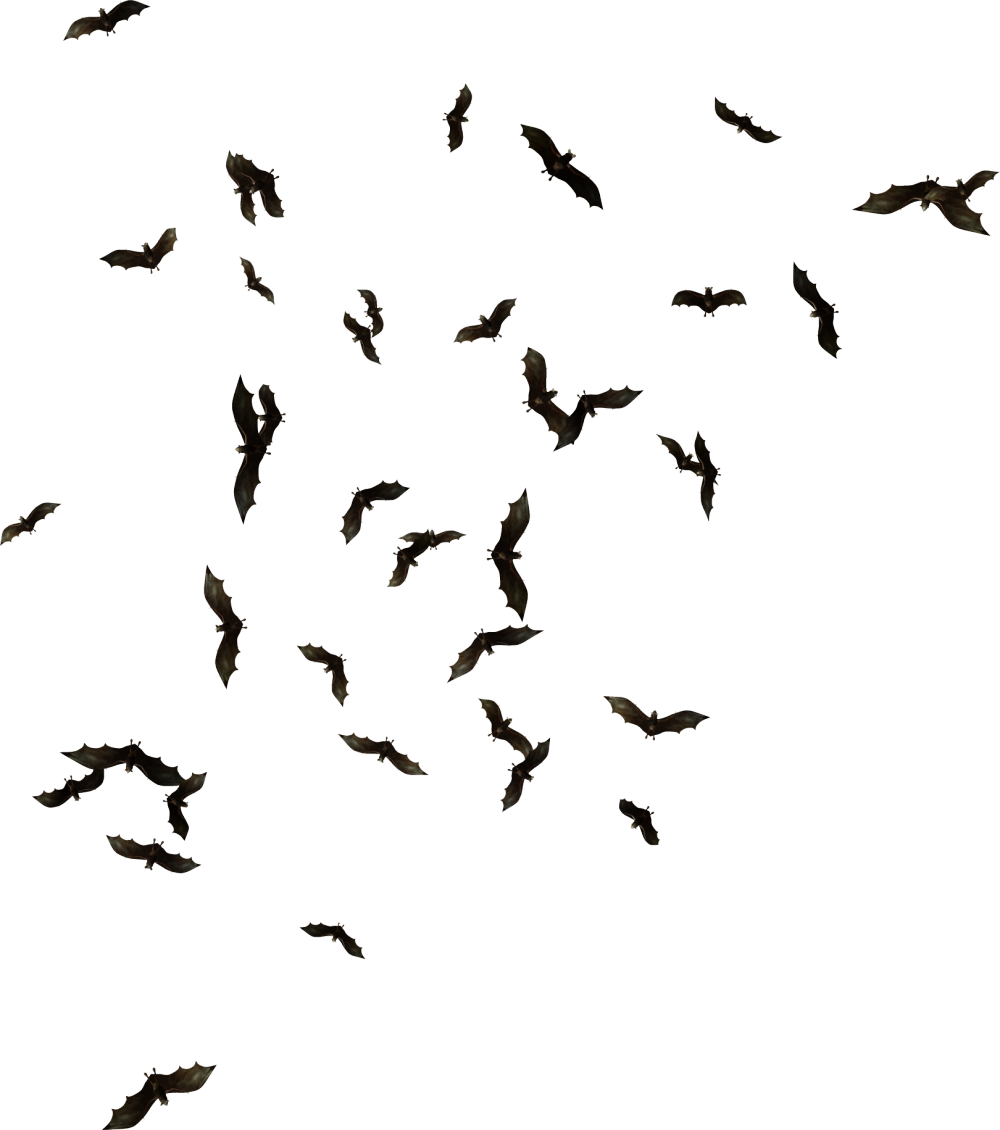 1000 X 1130 12 Swarm Of Bats Png Clipart Full Size Clipart