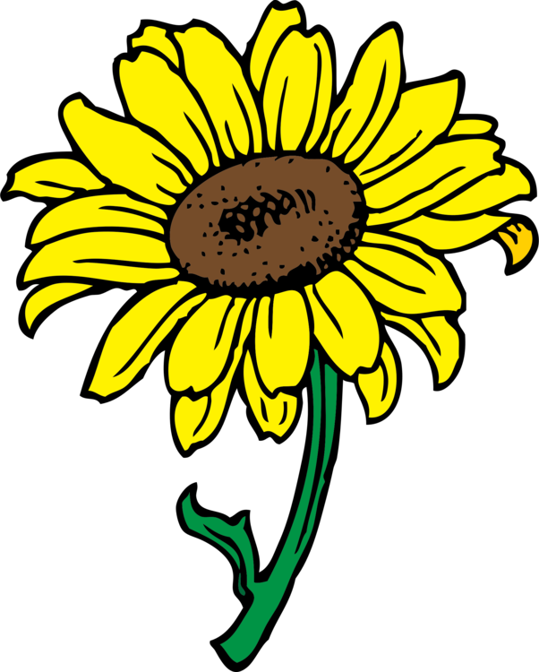 Download Common Sunflower Computer Icons - Sunflower Clipart Transparent Background - Png Download (602x750), Png Download