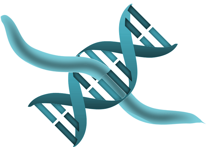 Dna Icon Clipart (683x486), Png Download
