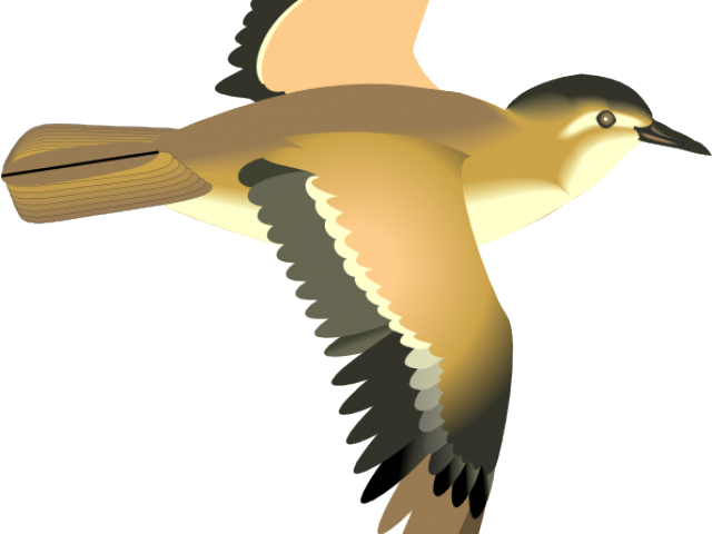 Sea Bird Clipart 3 Bird - Cartoon Bird Flying Transparent - Png Download (640x480), Png Download