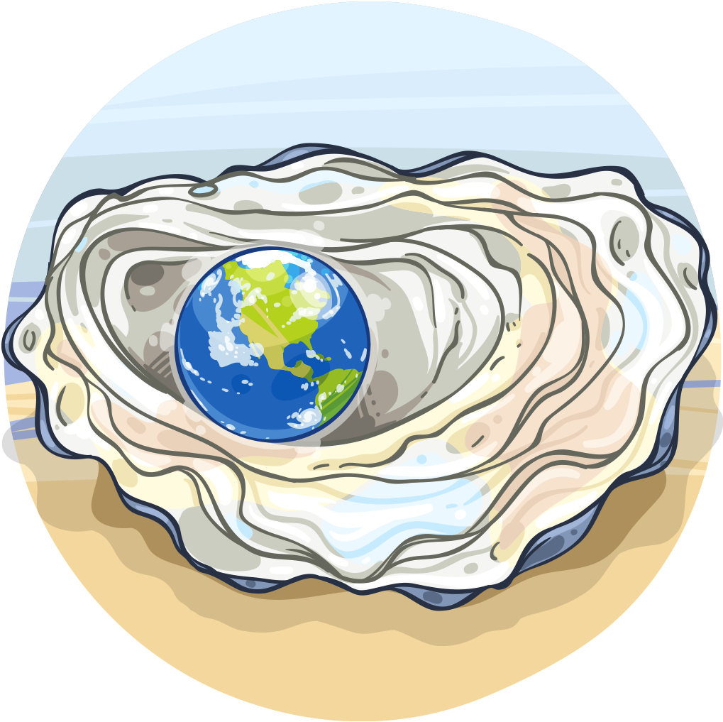 Graphic Transparent Library Clam Clipart Bivalve - 180818 - Png Download (1024x1024), Png Download