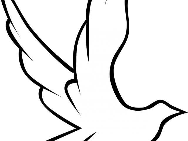 Funeral Clipart Peace - Dibujo De Paloma Con Rosa - Png Download (640x480), Png Download