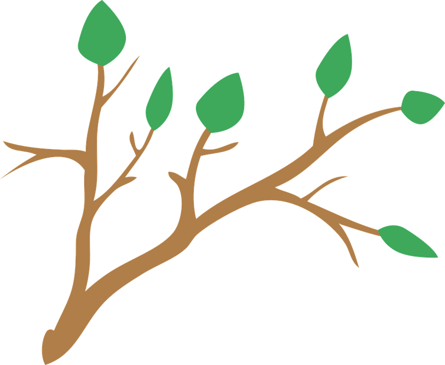 Branche Clipart (877x720), Png Download