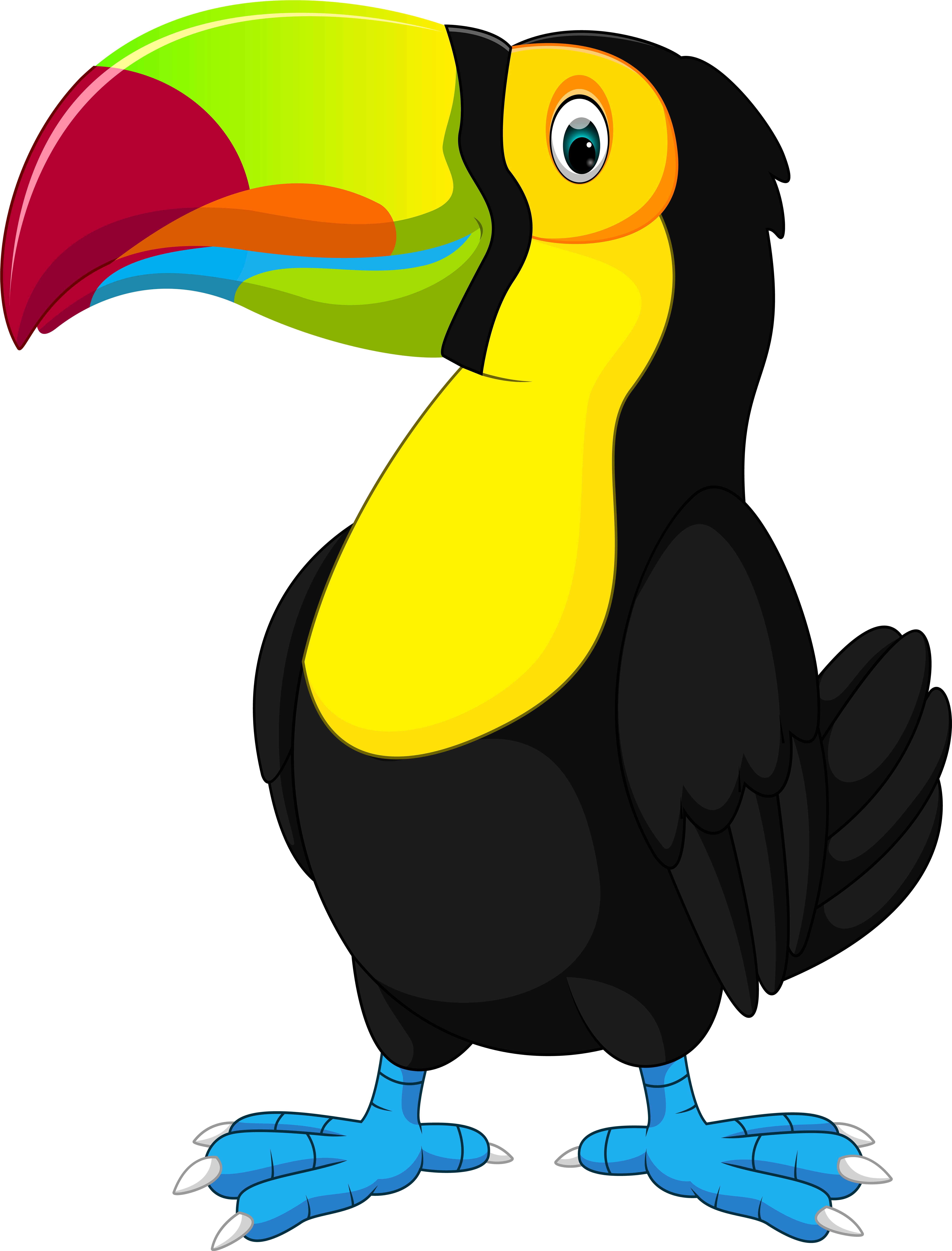 Bird Clipart Png Transparent Png (6130x8000), Png Download