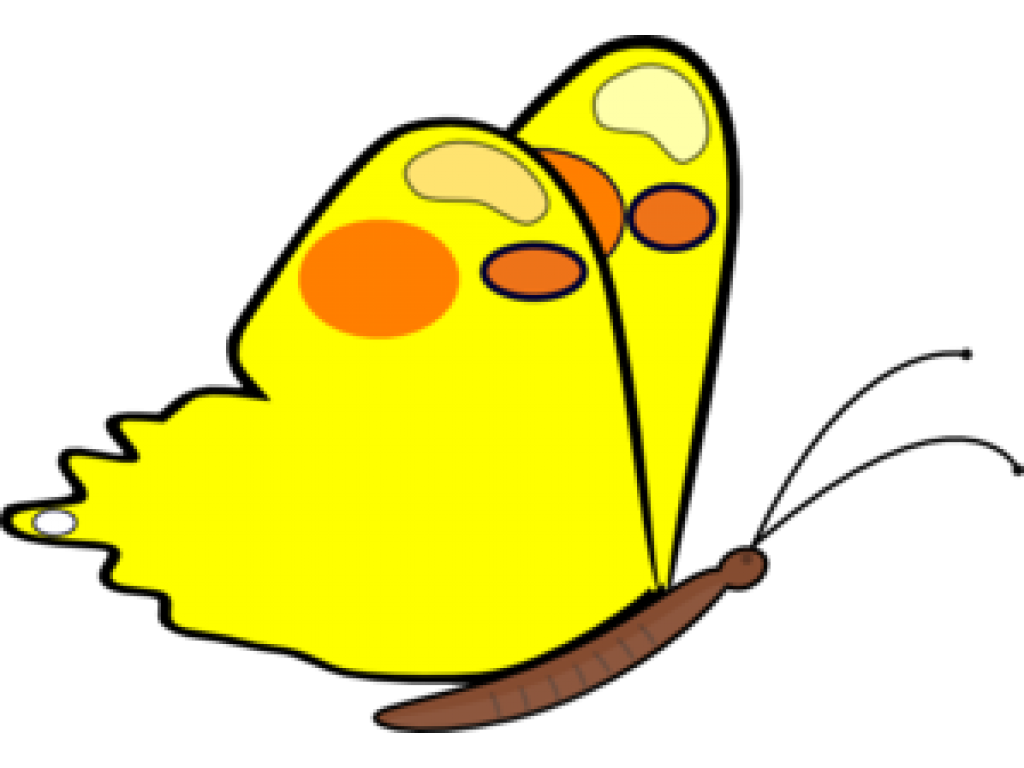 Motylki - Butterfly Clipart - Png Download (1024x768), Png Download