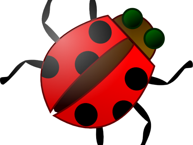Insect Clipart Kid Png - Bug Clip Art Transparent Png (640x480), Png Download