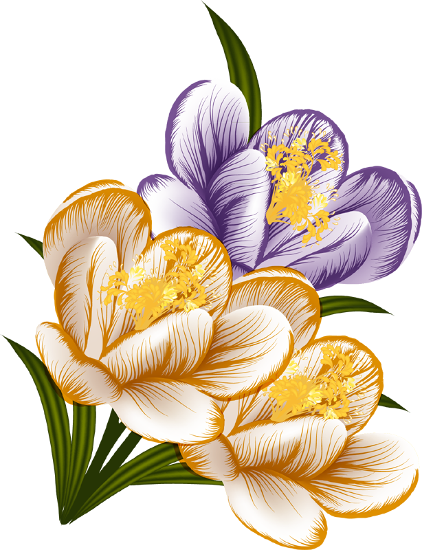 Bouquet Of Flowers - Flower Clipart (614x800), Png Download