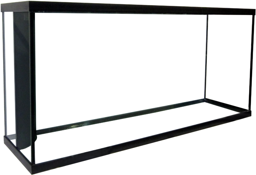 100 Regular Reef Ready Aquarium - Net Clipart (1000x677), Png Download