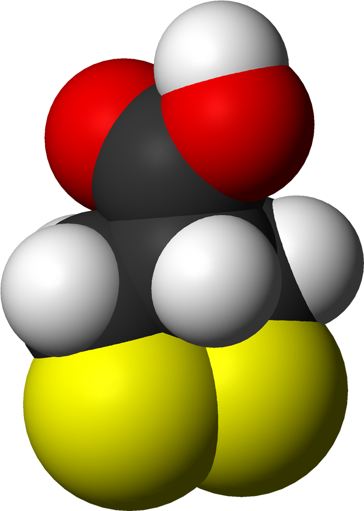 File - Asparagusic Ac - Circle Clipart (812x1100), Png Download