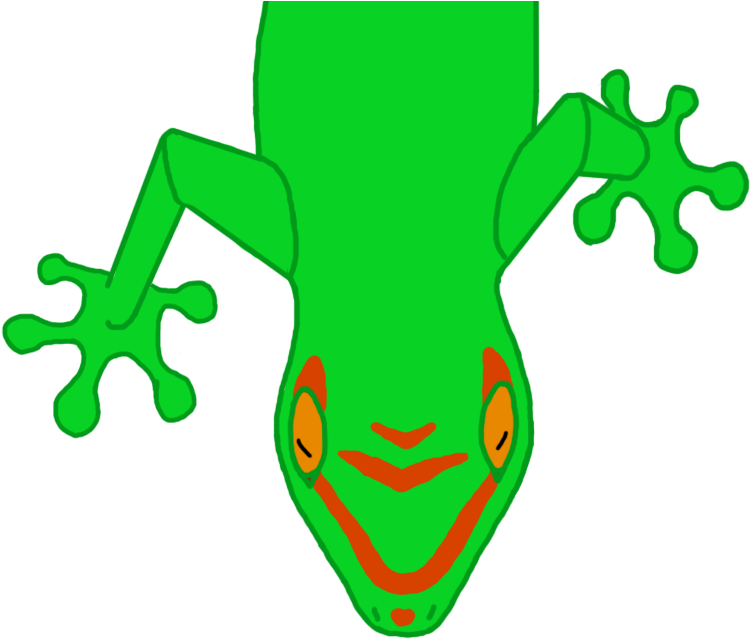 Gecko0007 - Tree Frog Clipart (1080x800), Png Download