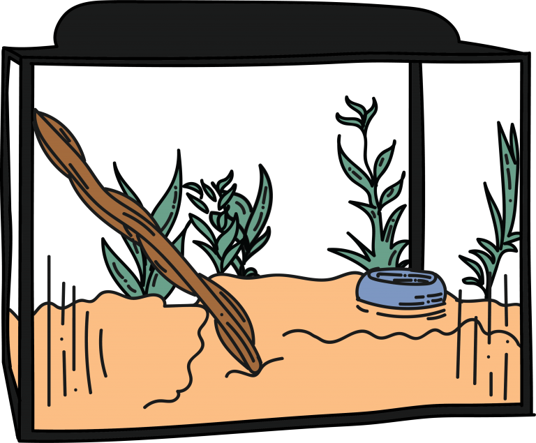 The Best Enclosure For A Full-grown Iguana Is 12 Feet Clipart (768x635), Png Download