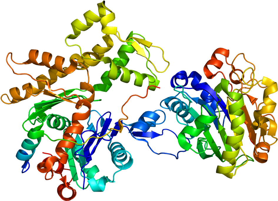 Wiskott Aldrich Syndrome Protein Structure Clipart (994x732), Png Download