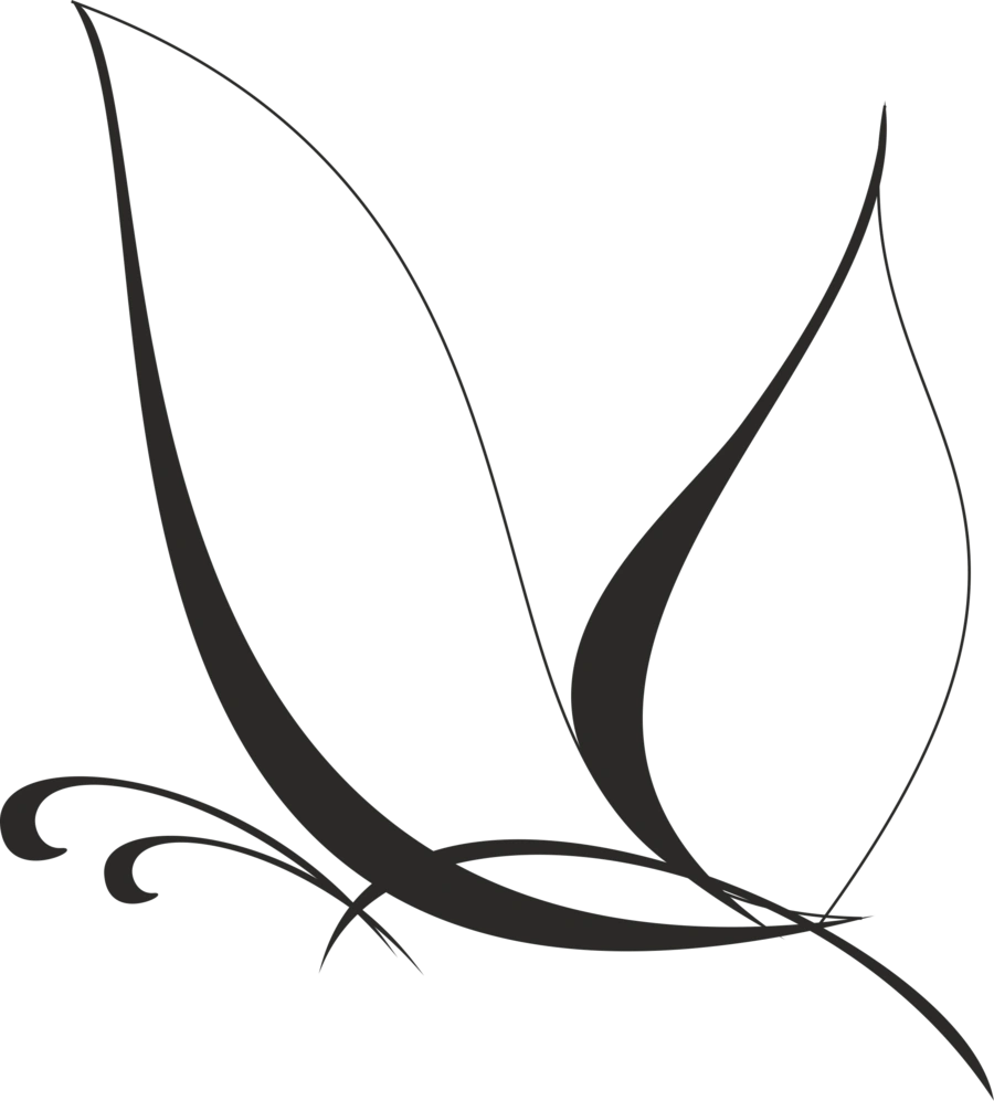 Butterfly Vector Lines Png Clipart (900x997), Png Download