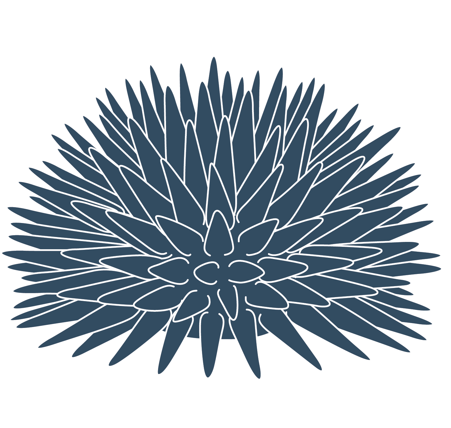 About This Project - Floral Design Clipart (1500x1409), Png Download