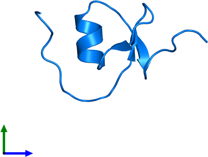 <div Class='caption-body'>pdb Entry 2kmo Contains 1 Clipart (800x800), Png Download
