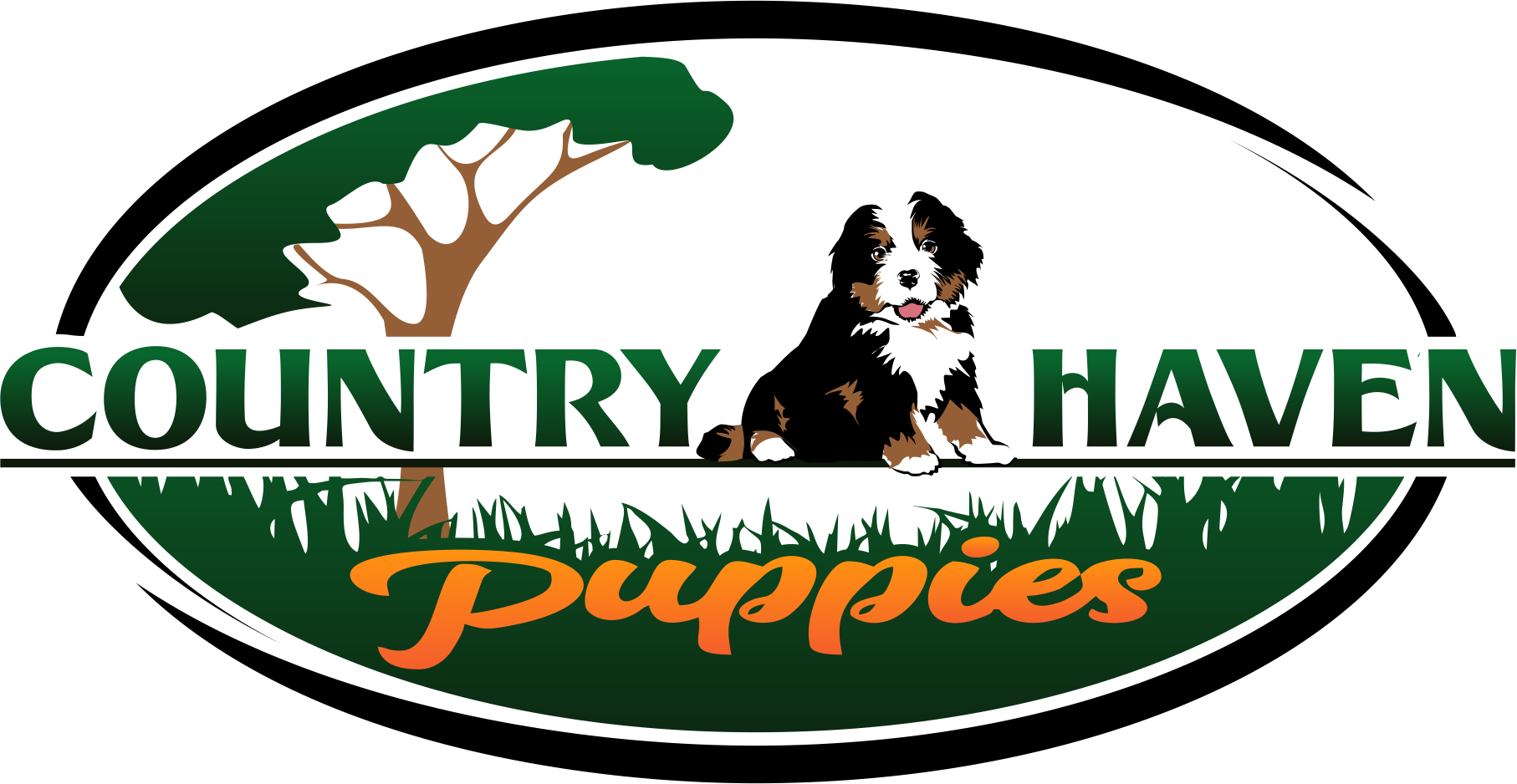 Png Logo Download - Dog Catches Something Clipart (1814x938), Png Download