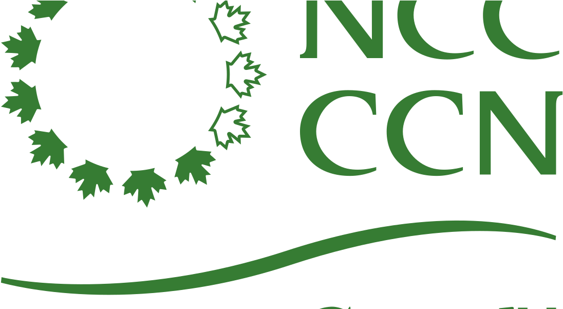 The - National Capital Commission Logo Clipart (1200x600), Png Download