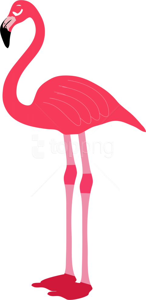 Free Png Download Flamingo Png Images Background Png - Transparent Background Flamingo Png Clipart (480x987), Png Download
