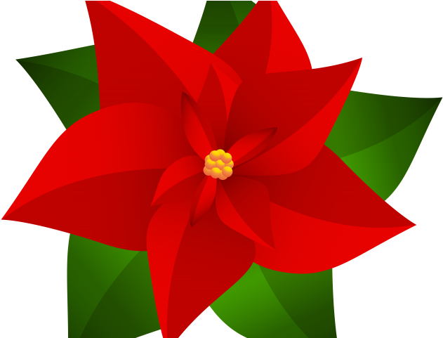 Poinsettia Clipart Top Border - Drawing Christmas Flower Poinsettia - Png Download (640x480), Png Download