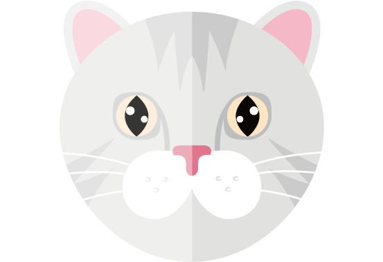 Cat Clipart (568x567), Png Download