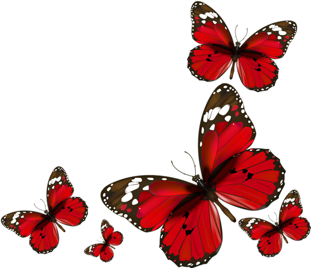 Red Butterflies Png Clipart (638x544), Png Download